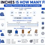 37 Inches Is How Many Feet