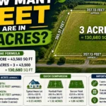 How Many Feet Are in 3 Acres