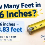How Many Feet in 46 Inches