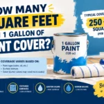 How Many Square Feet Can 1 Gallon of Paint Cover
